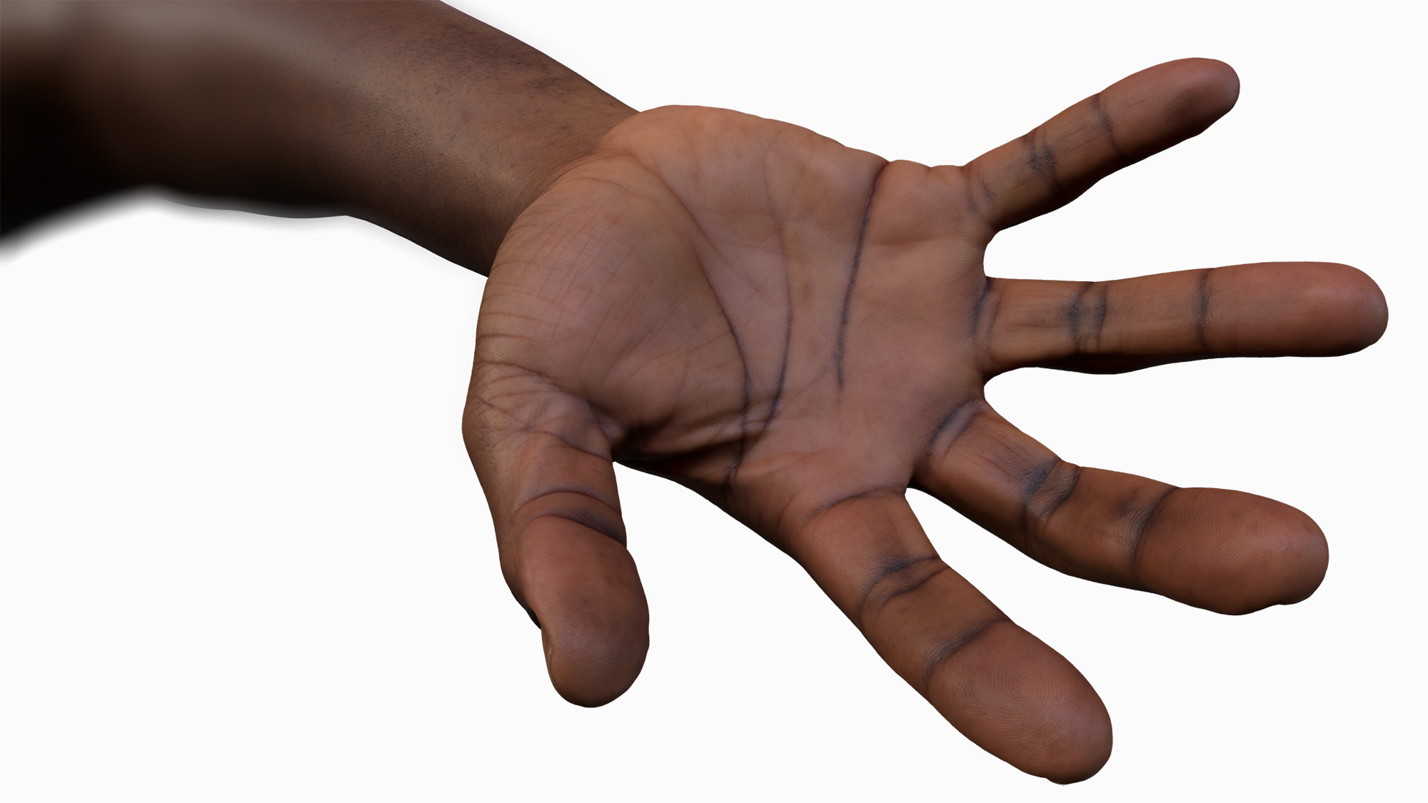 Close Up Black Male Forty Year Old 3D Hands Model Scan